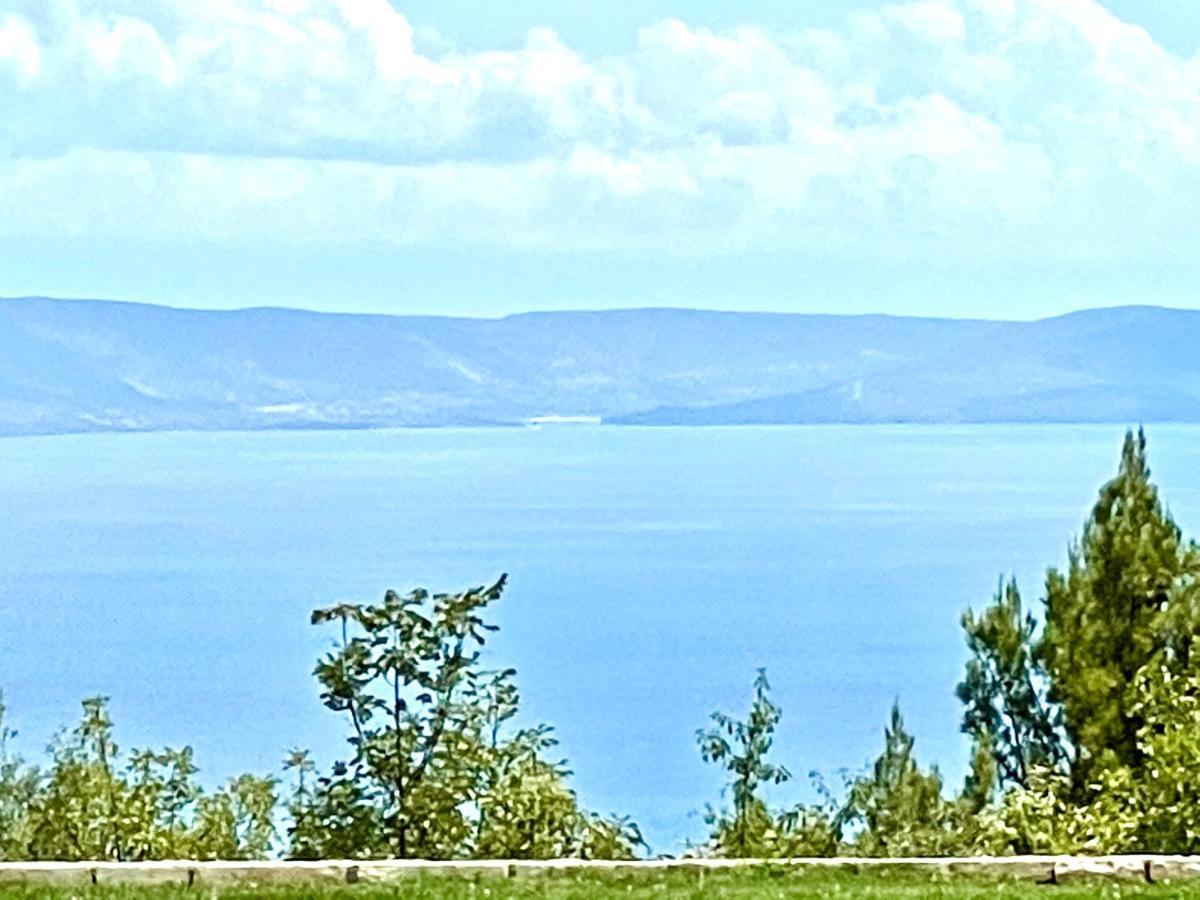 Luxury Panorama Vila With Amazing Seaview In Gondolici 7 Km From Rabac Labin  Extérieur photo