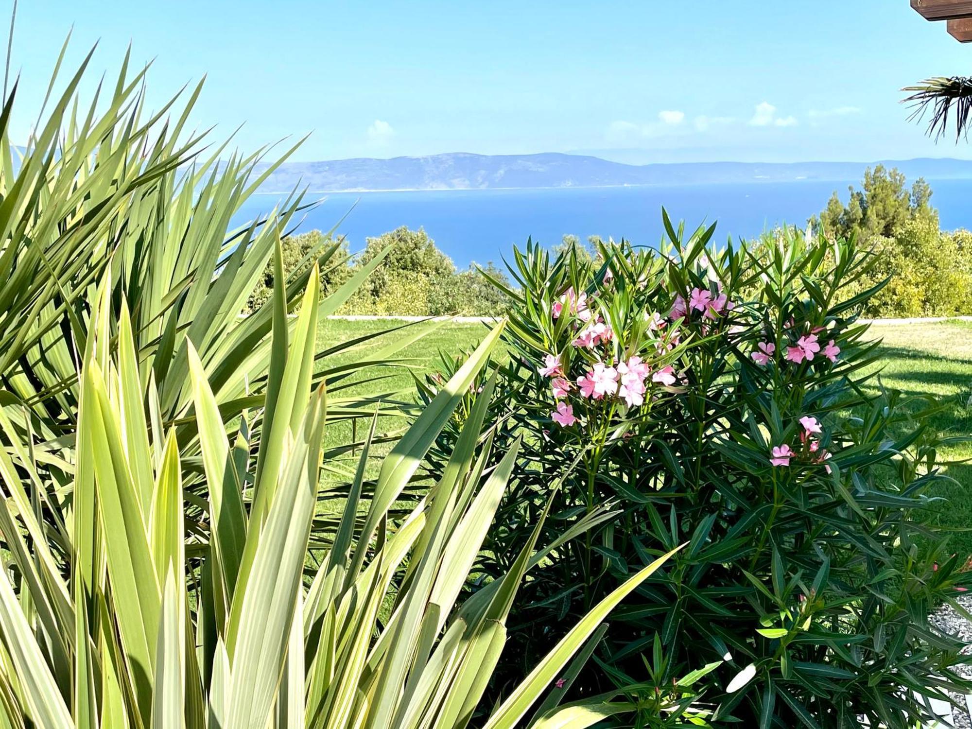 Luxury Panorama Vila With Amazing Seaview In Gondolici 7 Km From Rabac Labin  Extérieur photo